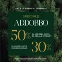Speciale addobbo