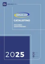GBC Catalistino 2025 - al 31.12.2025