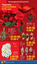 ЛИДЛ Традицията ни събира. Заслужава си в ЛИДЛ с предложения до 21.12.2025 - до 21-12-25