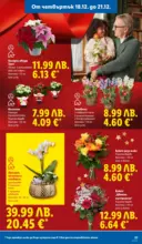 ЛИДЛ Традицията ни събира. Заслужава си в ЛИДЛ с предложения до 21.12.2025 - от 15-12-25