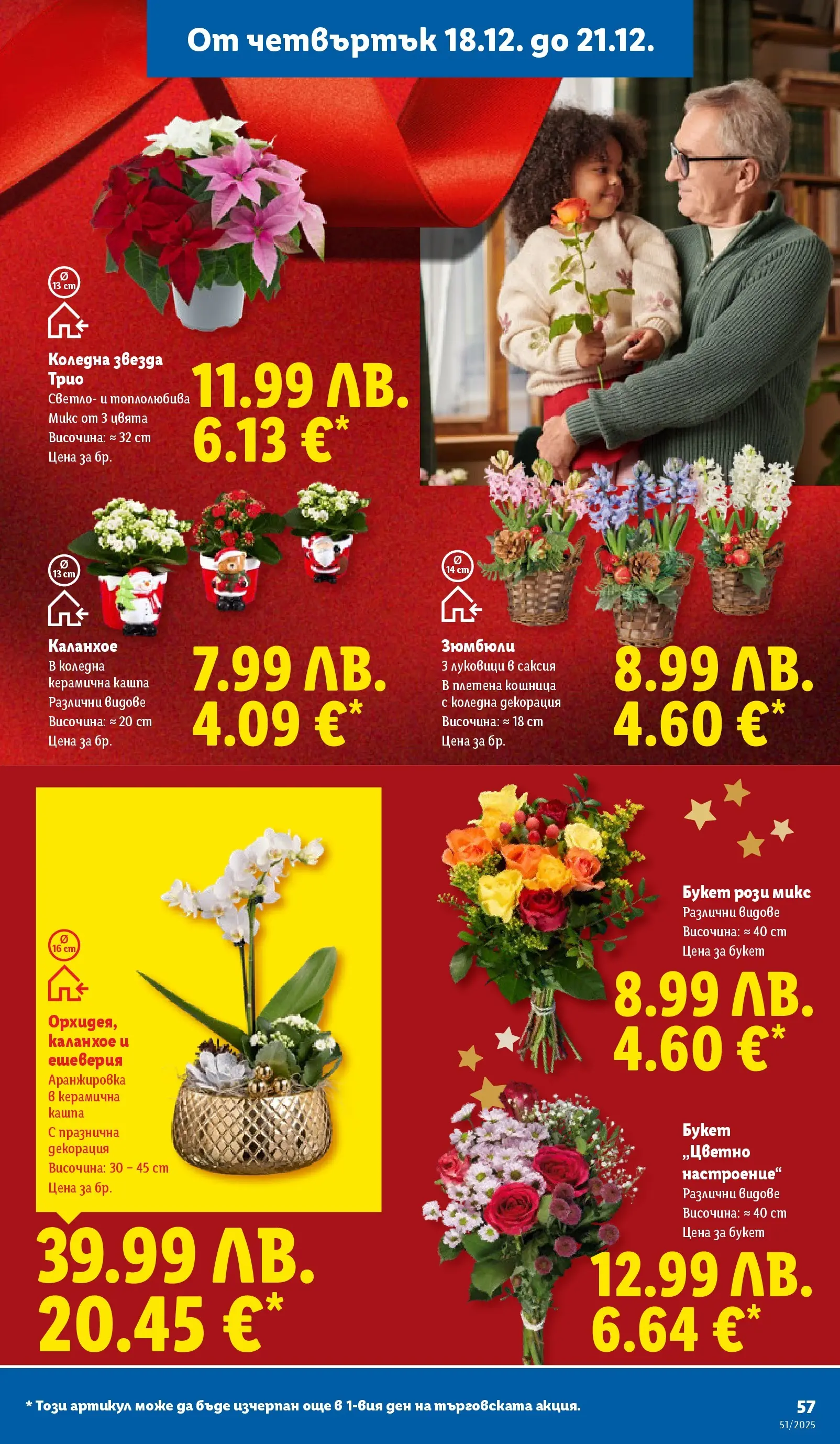 Лидл - Традицията ни събира. Заслужава си в ЛИДЛ с предложения до 21.12.2025 от 14.12.2025 | Страница: 57 | Продукти: Кашпа, Декорация, Кошница, Саксия Лидл - Традицията ни събира. Заслужава си в ЛИДЛ с предложения до 21.12.2025 от 14.12.2025 | Страница: 57 | Продукти: Кашпа, Декорация, Кошница, Саксия