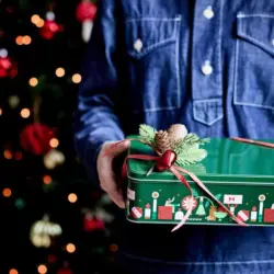 VINTERFINT кутия с капак