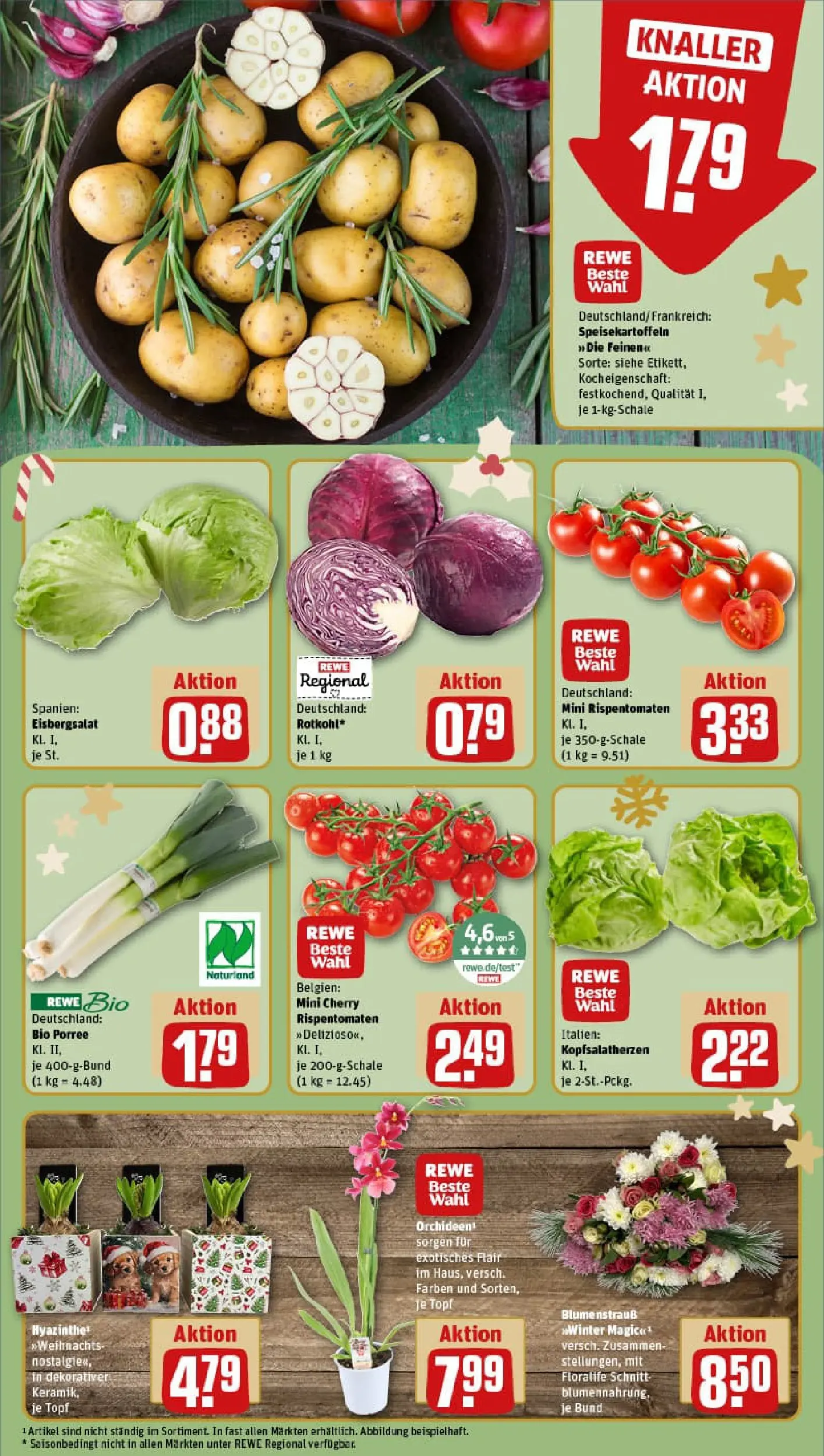 REWE Prospekt ab 15.12.2025 zum Blättern » Angebote | Seite: 9 | Produkte: Eisbergsalat
