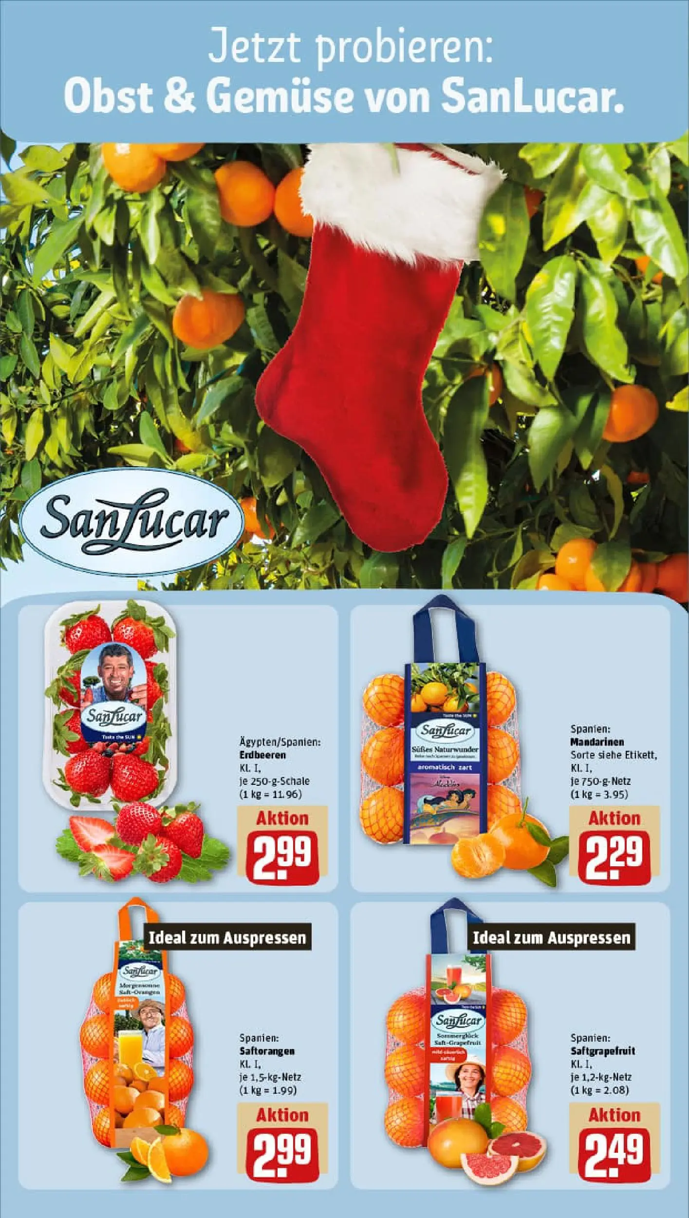 REWE Prospekt ab 15.12.2025 zum Blättern » Angebote | Seite: 10 | Produkte: Mandarinen, Grapefruit, Obst, Erdbeeren