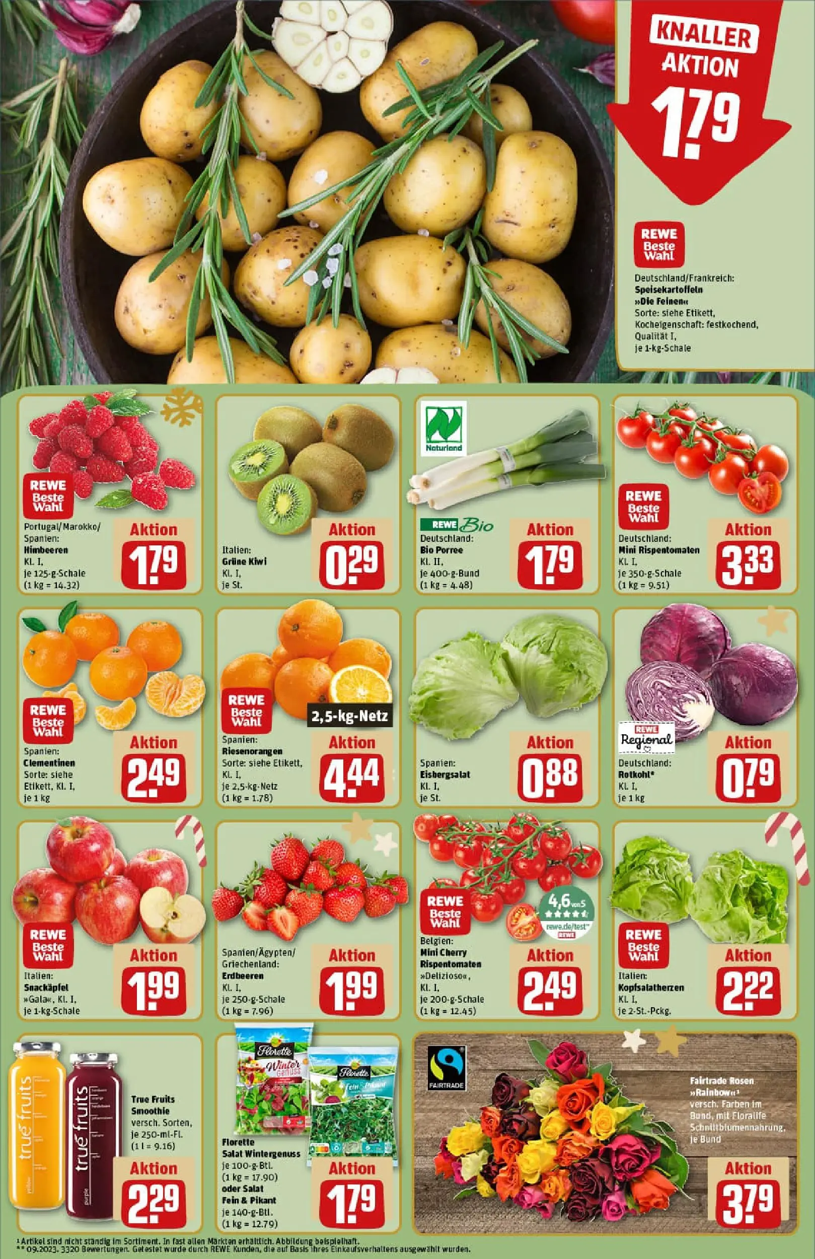 REWE Prospekt ab 15.12.2025 zum Blättern » Angebote | Seite: 8 | Produkte: Rotkohl, Eisbergsalat, Kiwi, Salat