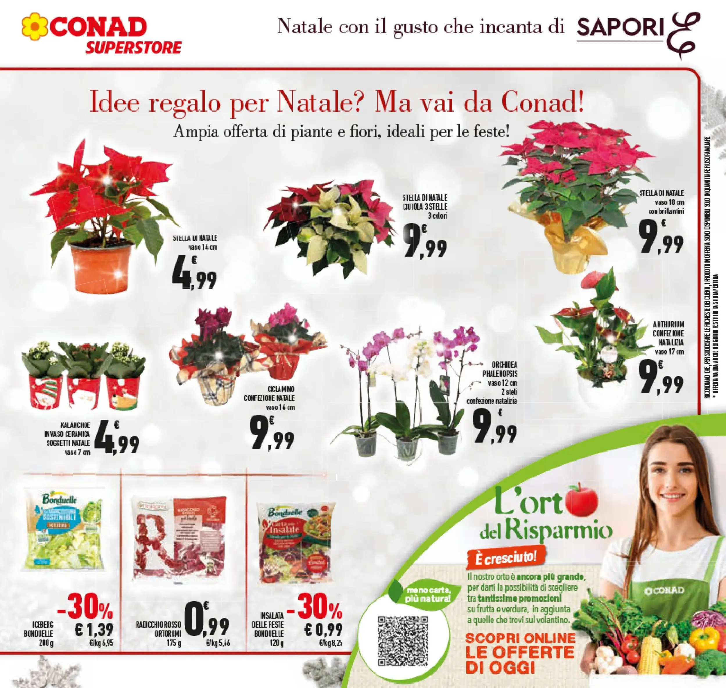 Volantino Conad dal 14/12/2025 > Anteprima | Pagina: 17 | Prodotti: Insalata, Frutta, Orchidea, Vaso
