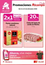 Del 11 al 31 de diciembre 2025