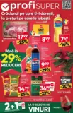 Catalog Profi până în data de 24.12.2025