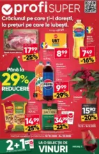 Catalog Profi până în data de 24.12.2025