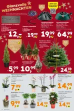 Globus Baumarkt: Wochenangebote