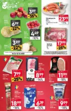 Catalog Profi până în data de 24.12.2025