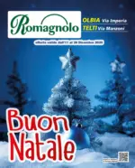 Dimeglio Buon Natale - al 28.12.2025