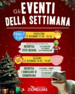 Zoomiguana Offerte Zoomiguana - al 14.12.2025