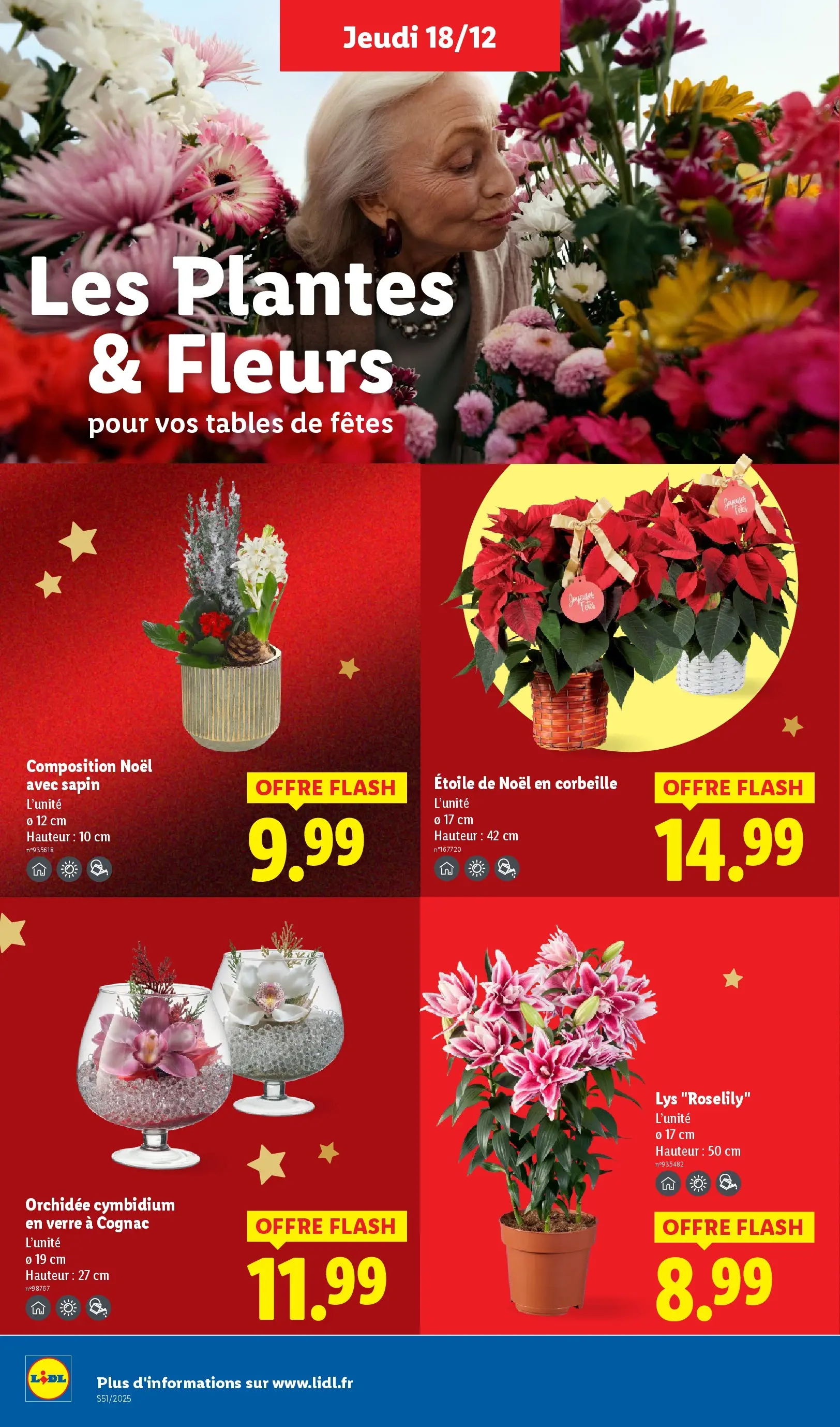 Catalogue LIDL du 14/12/2025 | Promo prospectus en ligne | Page: 36 | Produits: Plantes, Cognac, Orchidée Catalogue LIDL du 14/12/2025 | Promo prospectus en ligne | Page: 36 | Produits: Plantes, Cognac, Orchidée