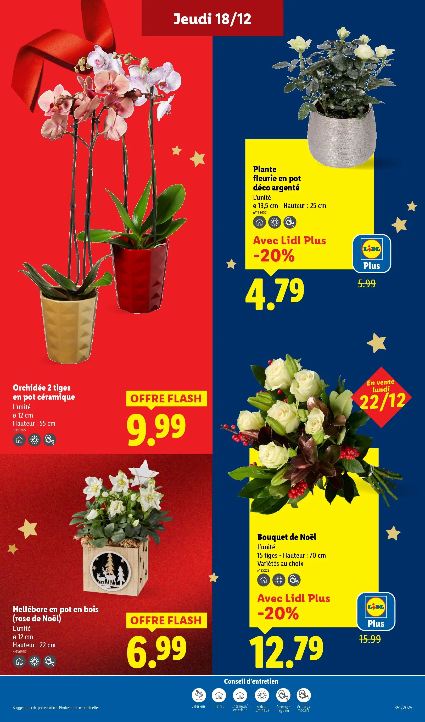 Catalogue LIDL du 14/12/2025 | Promo prospectus en ligne | Page: 37 | Produits: Orchidée Catalogue LIDL du 14/12/2025 | Promo prospectus en ligne | Page: 37 | Produits: Orchidée