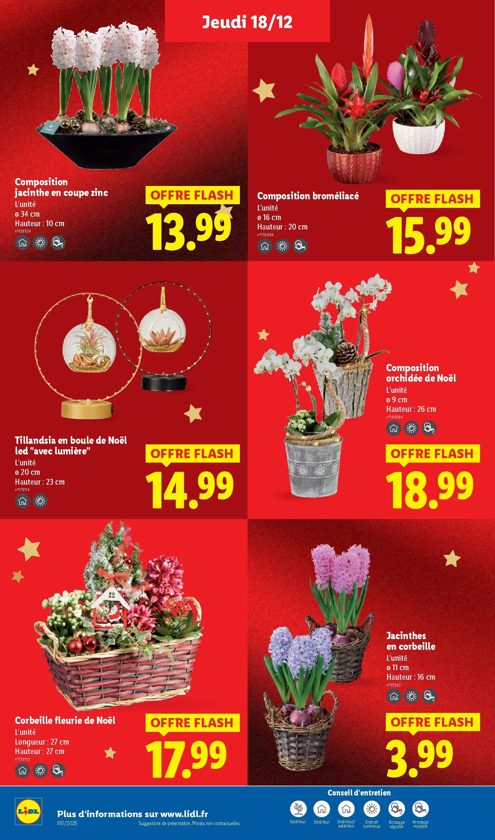 Catalogue LIDL du 14/12/2025 | Promo prospectus en ligne | Page: 38 | Produits: Orchidée Catalogue LIDL du 14/12/2025 | Promo prospectus en ligne | Page: 38 | Produits: Orchidée