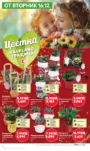 Kaufland хипермаркет Отвори вратата за пракрасна Коледа с Kaufland предложения с валидност до 21.12.2025 - от 15-12-25