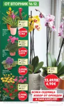 Kaufland хипермаркет Отвори вратата за пракрасна Коледа с Kaufland предложения с валидност до 21.12.2025 - от 15-12-25