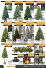 PRAKTIS Празнични предложения в PRAKTIS валидност до 11.01.2026 - до 11-01-26