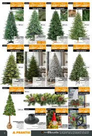 Празнични предложения в PRAKTIS валидност до 11.01.2026