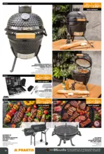 PRAKTIS Празнични предложения в PRAKTIS валидност до 11.01.2026 - до 11-01-26