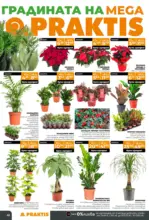 PRAKTIS Празнични предложения в PRAKTIS валидност до 11.01.2026 - до 11-01-26