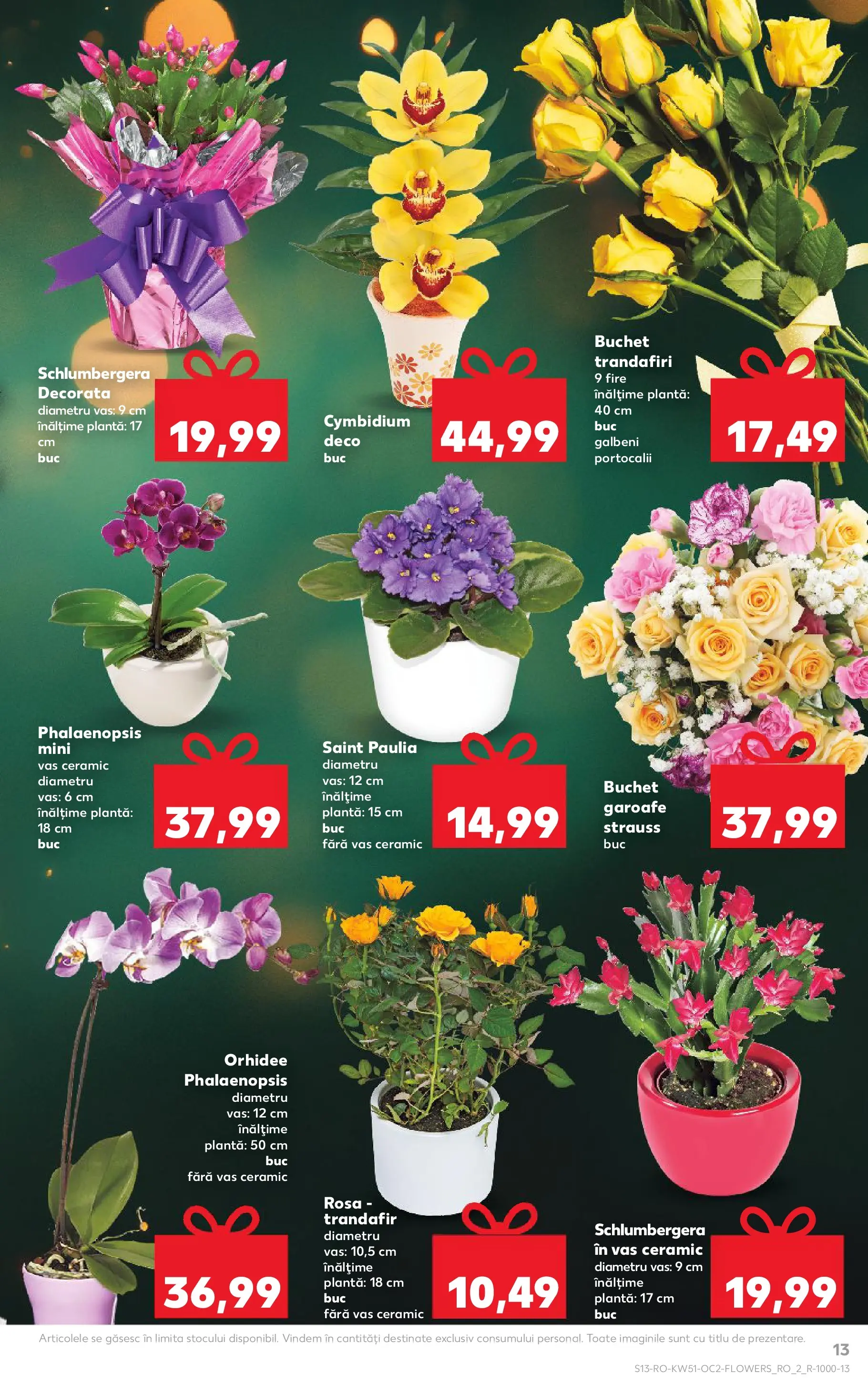 Catalog Kaufland - Zalau 17.12.2025 - Revista si Oferta | Pagină: 13 | Produse: Trandafir, Orhidee
