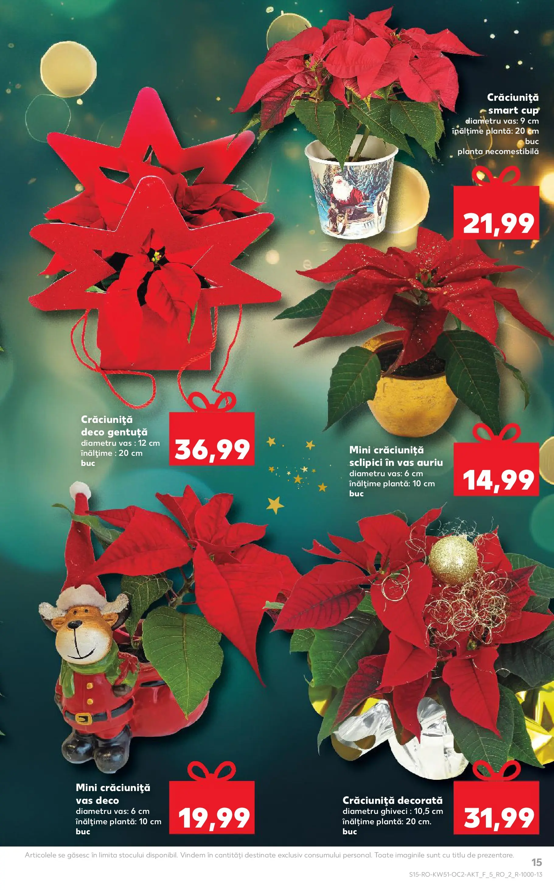 Catalog Kaufland - Zalau 17.12.2025 - Revista si Oferta | Pagină: 15 | Produse: Ghiveci