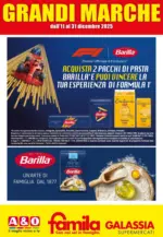 Famila Grandi Marche - al 31.12.2025