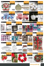 PRAKTIS Празнични предложения в PRAKTIS валидност до 11.01.2026 - до 11-01-26