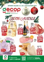 Gecop Buone Natale - al 24.12.2025