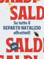 BricoPi&ugrave; 30% - al 31.12.2025
