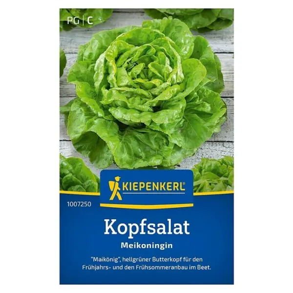 Kiepenkerl Salatsamen Kopfsalat