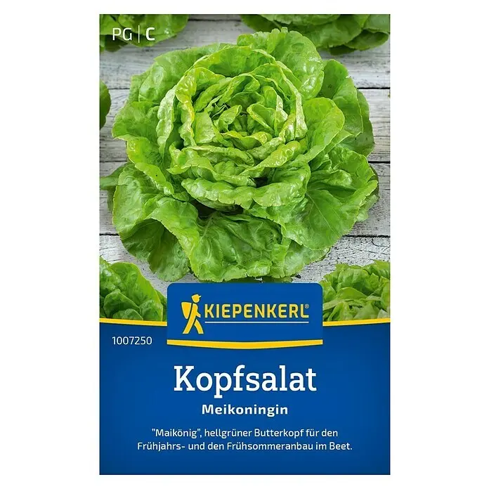 Kiepenkerl Salatsamen Kopfsalat