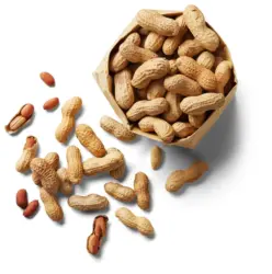 Фъстъци с черупка печени