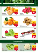 MPREIS: Flugblatt Salzburg