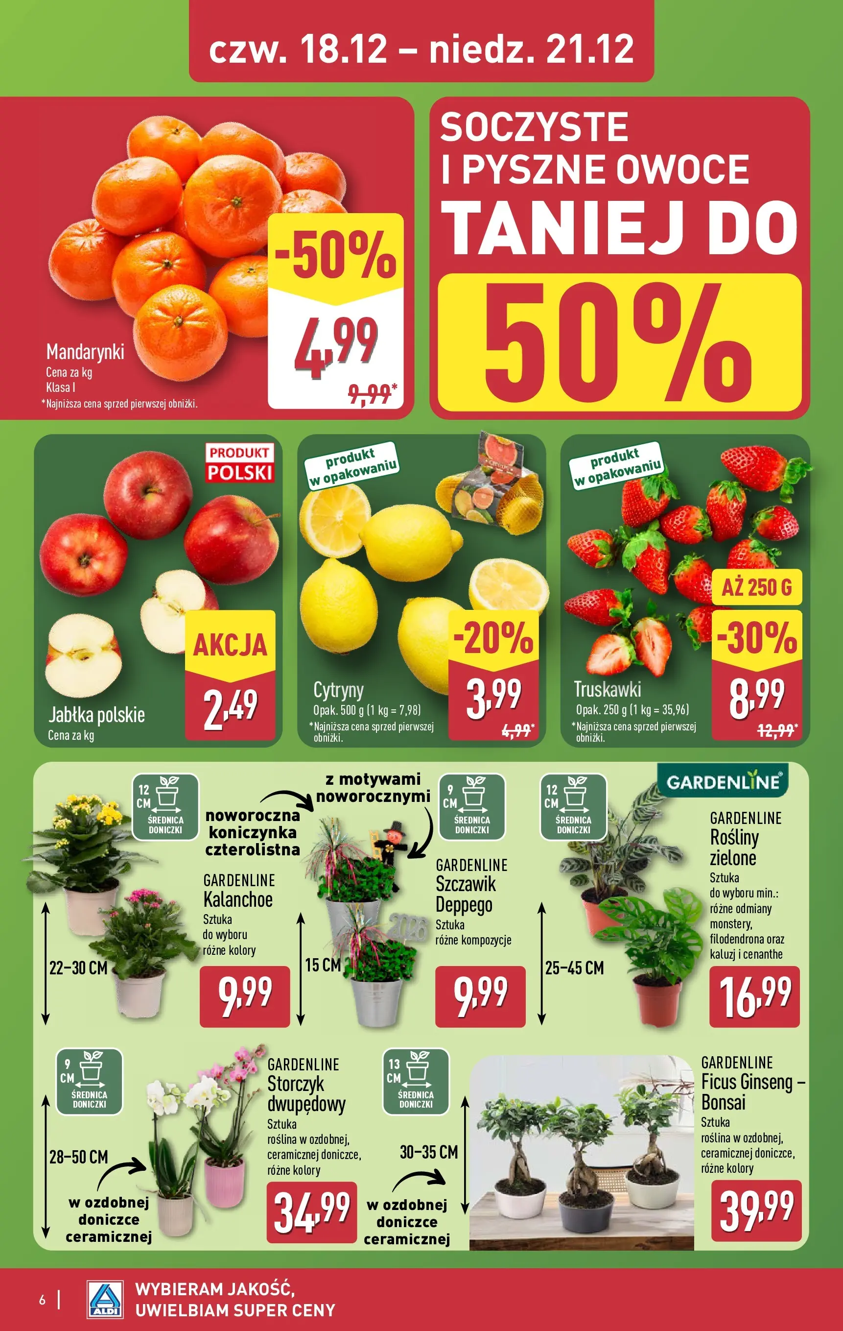 Aldi gazetka od 18.12.2025 | Boże Narodzenie 🎄🎁 | Strona: 6 | Produkty: Cytryny, Rosliny, Kalanchoe, Storczyk