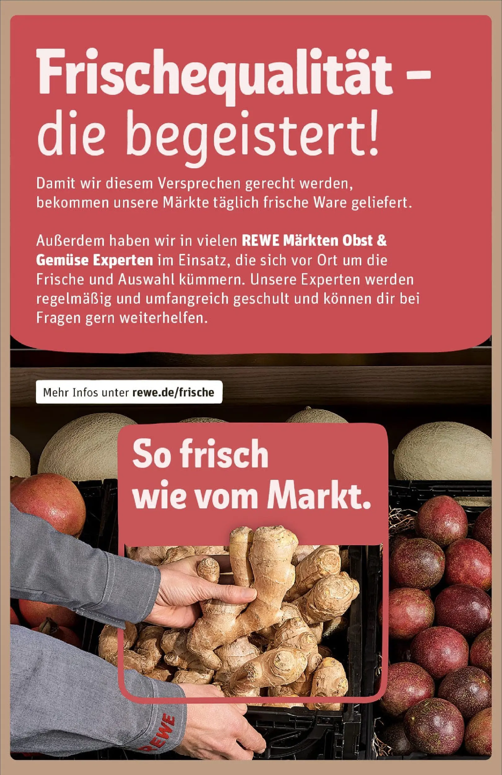 REWE Prospekt ab 22.12.2025 zum Blättern » Angebote | Seite: 25 | Produkte: Gemüse, Obst