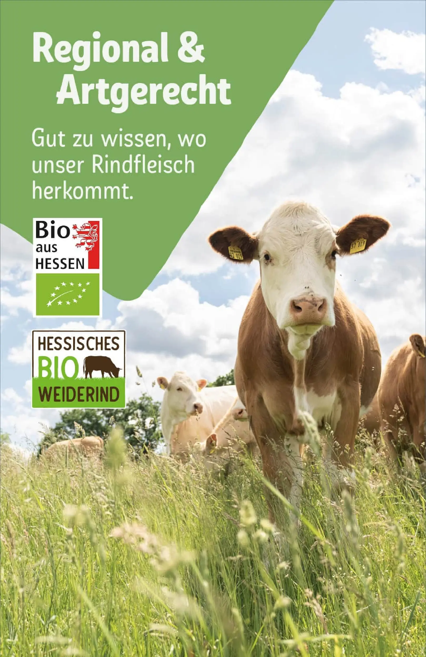 REWE Prospekt ab 22.12.2025 zum Blättern » Angebote | Seite: 27 | Produkte: Rindfleisch