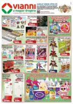 Vianni újság érvényessége 2025.12.31-ig