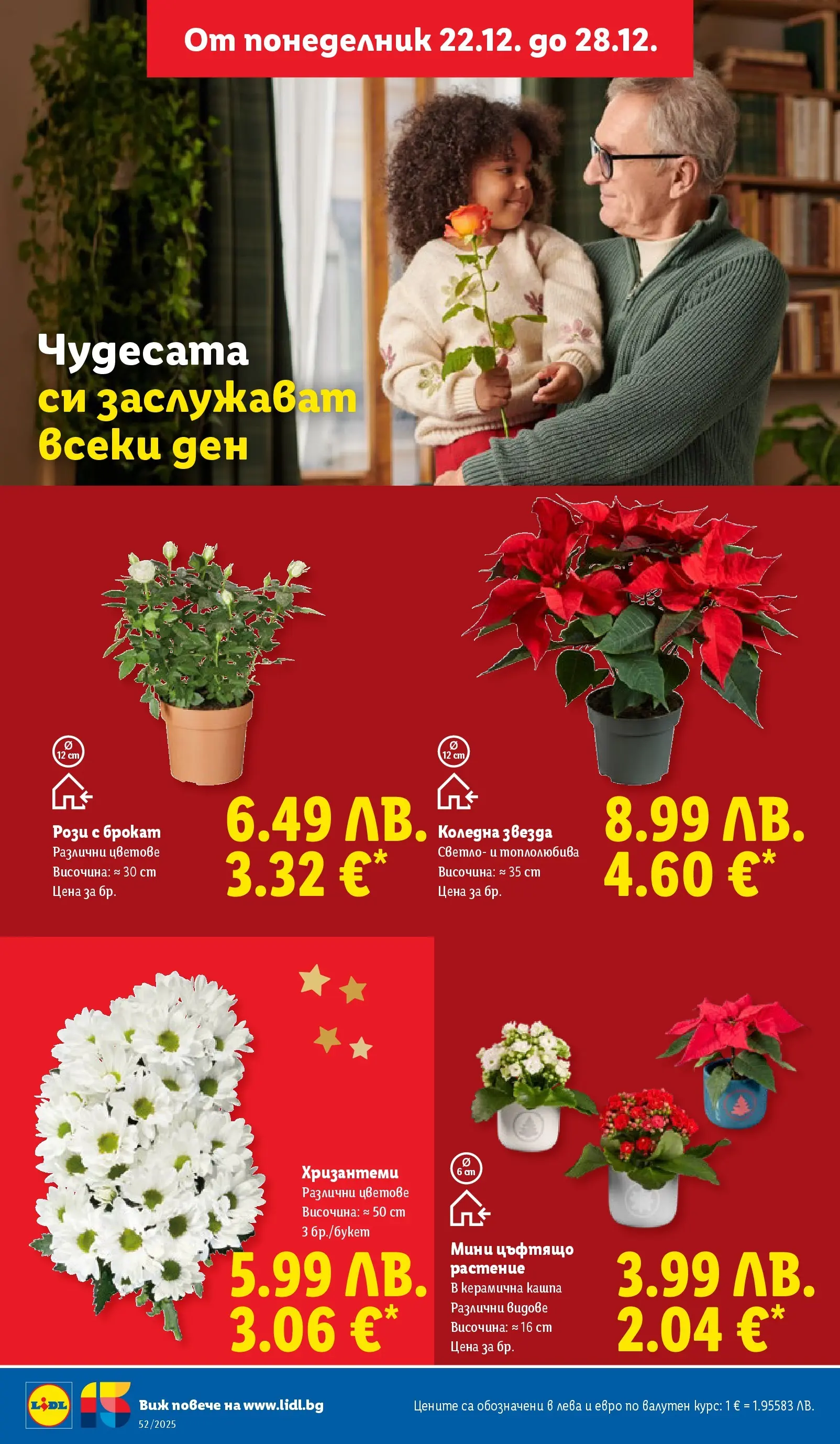 Брошура Лидл КОЛЕДА 2025 (22.12. - 28.12.) | Страница: 46