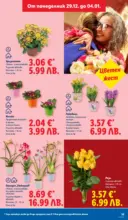 ЛИДЛ Празнувай Нова Година. Заслужава си с ЛИДЛ с валидност до 04.01.2026 - от 29-12-25