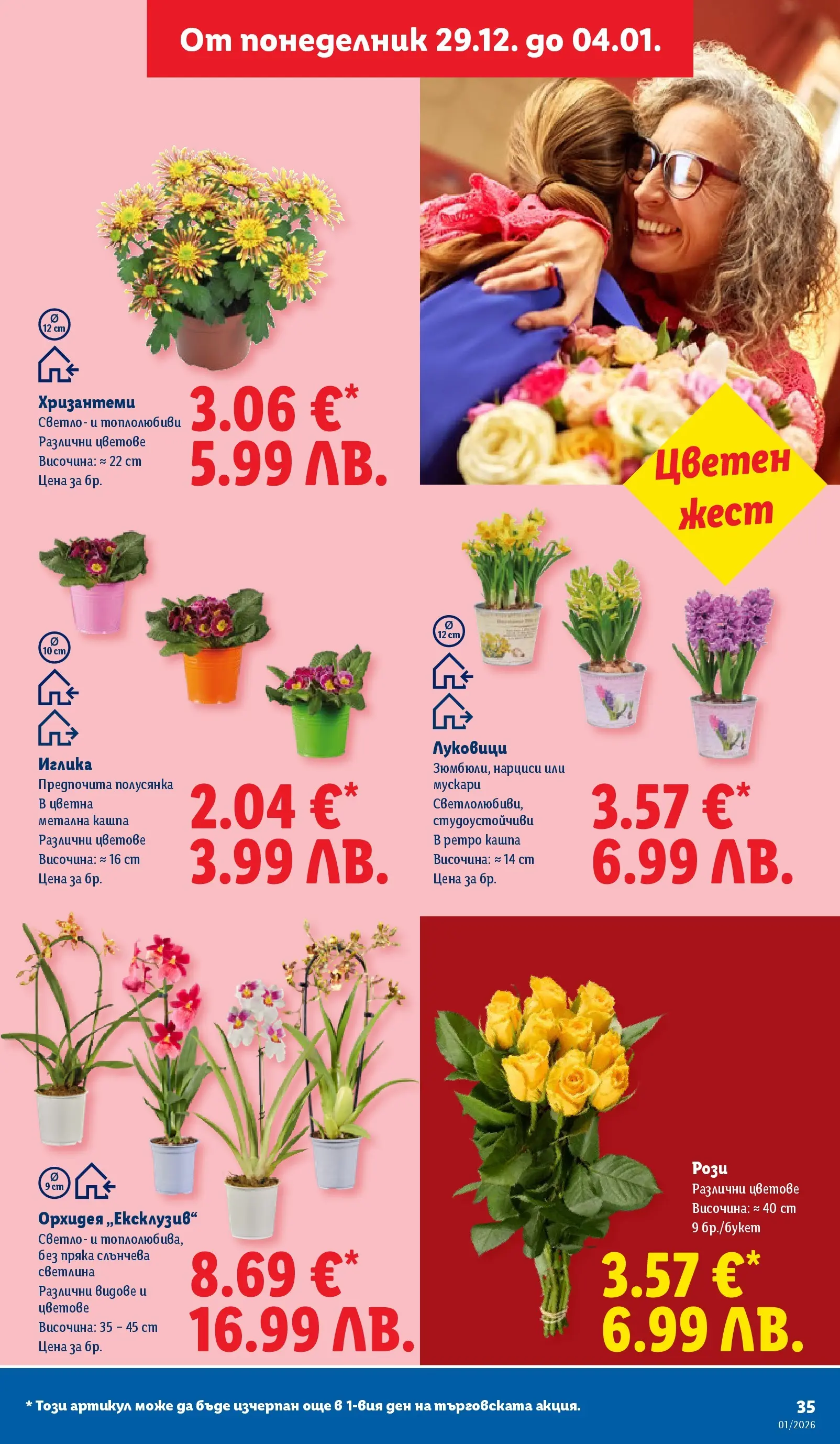 Лидл - Празнувай Нова Година. Заслужава си с ЛИДЛ с валидност до 04.01.2026 от 28.12.2025 | Страница: 35 | Продукти: Кашпа, Орхидея
