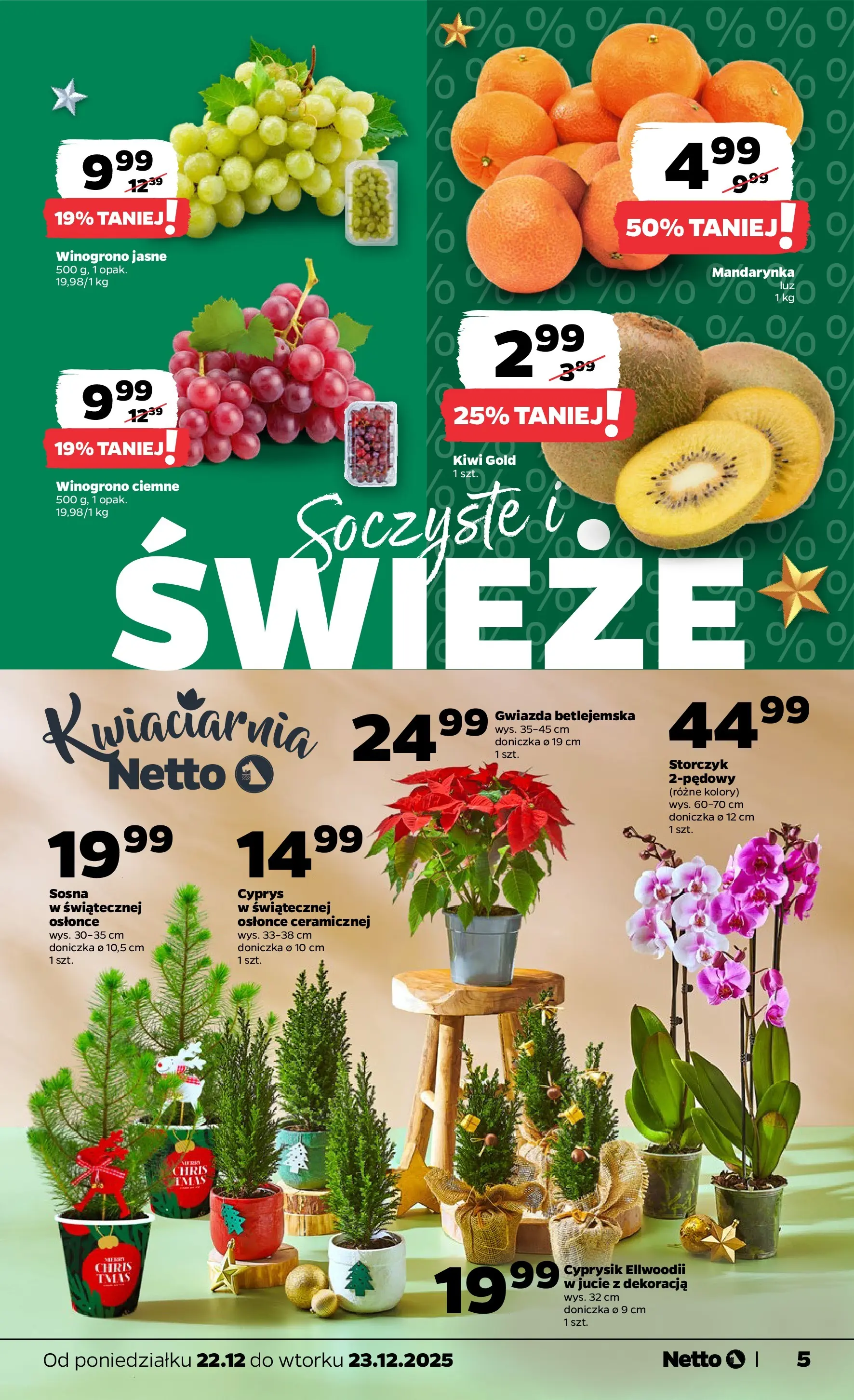Netto - NETTO T52A ważne do 23.12 od 21.12.2025 - Aktualne promocje | Strona: 5 | Produkty: Winogrono, Doniczka, Storczyk, Kiwi