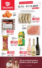 Catalog Selgros până în data de 31.12.2025