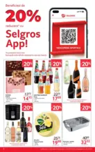Catalog Selgros p&acirc;nă &icirc;n data de 31.12.2025