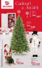 Catalog Selgros până în data de 24.12.2025