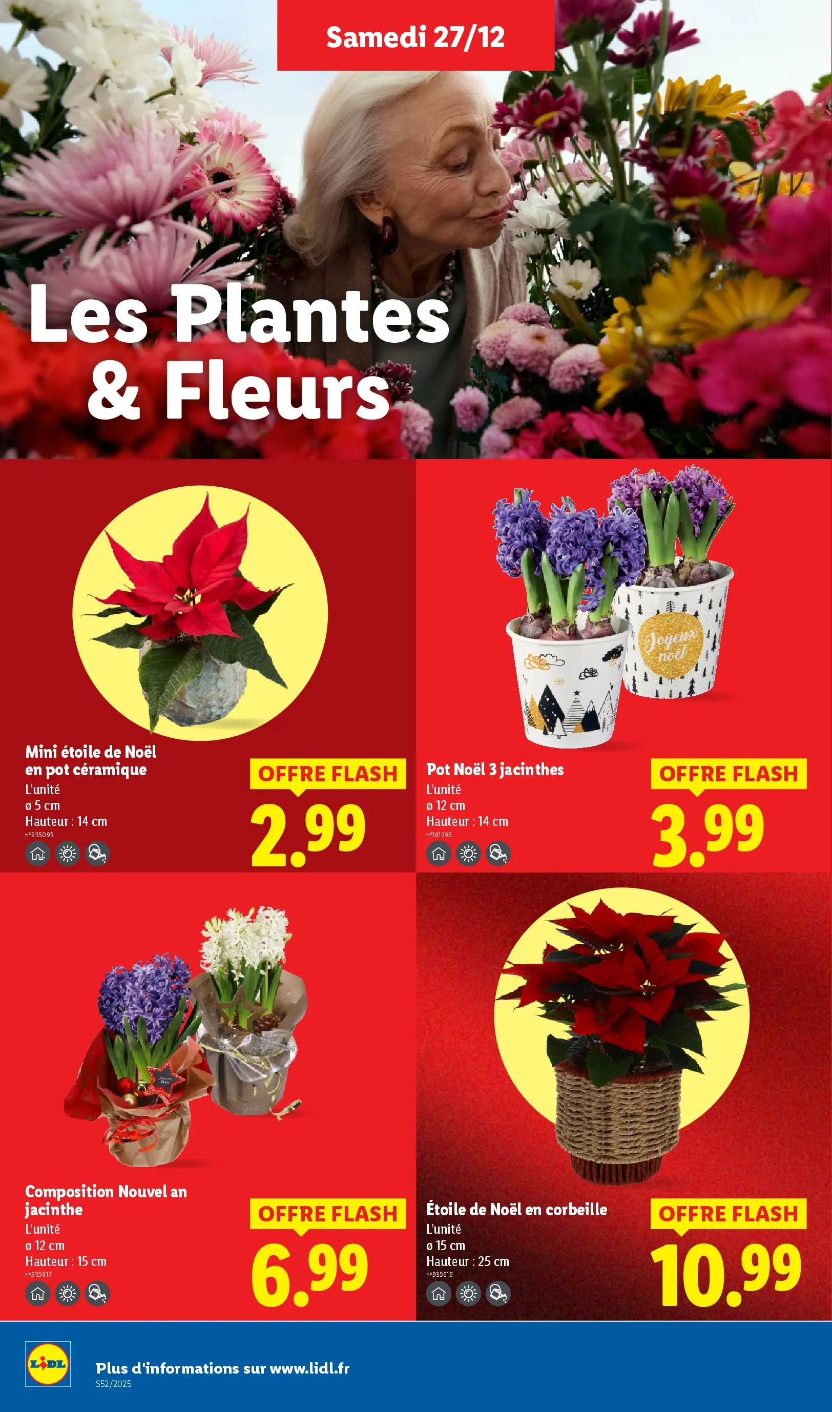 Catalogue LIDL du 26/12/2025 | Promo prospectus en ligne | Page: 30 | Produits: Plantes