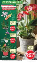 Kaufland хипермаркет Отвори вратата за прeкрасна Коледа с Kaufland предложения с валидност до 28.12.2025 - от 22-12-25