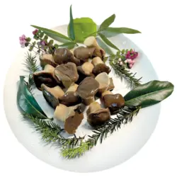 Eingelegte Kr&auml;uterseitlinge